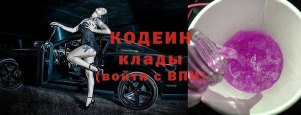 индика Пестово