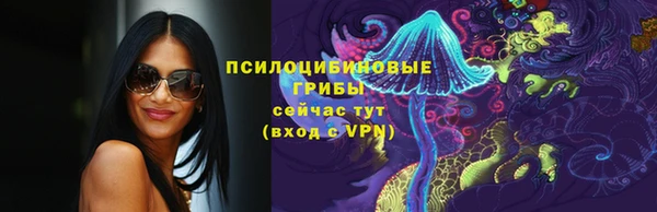 бошки Переславль-Залесский