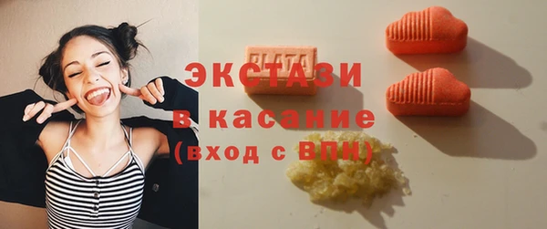 индика Пестово