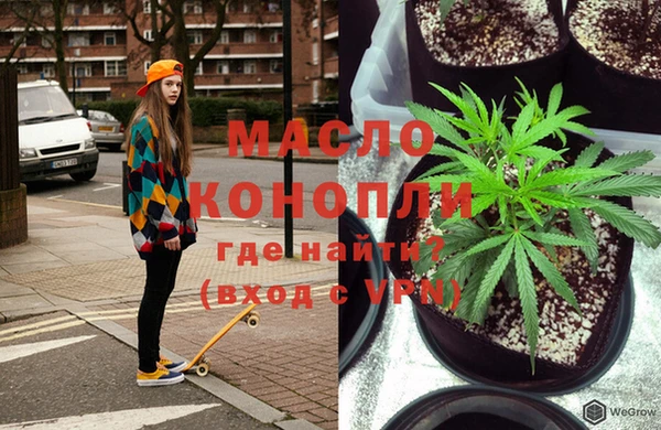 индика Пестово