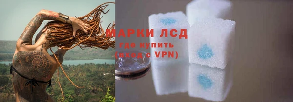 индика Пестово