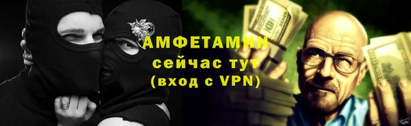 индика Пестово