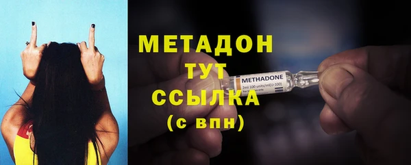 индика Пестово