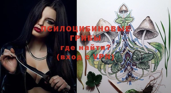 индика Пестово