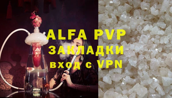 индика Пестово