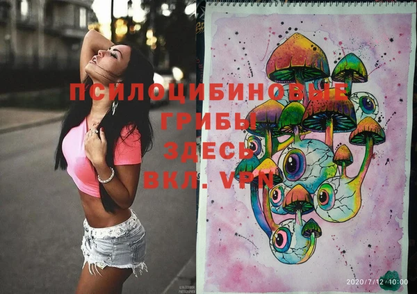 бошки Переславль-Залесский