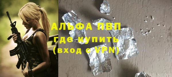 индика Пестово