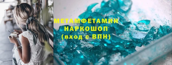 индика Пестово