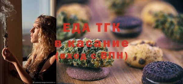 индика Пестово
