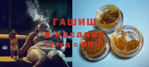 индика Пестово