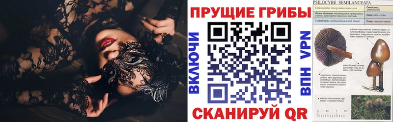 Галлюциногенные грибы Cubensis Сергач